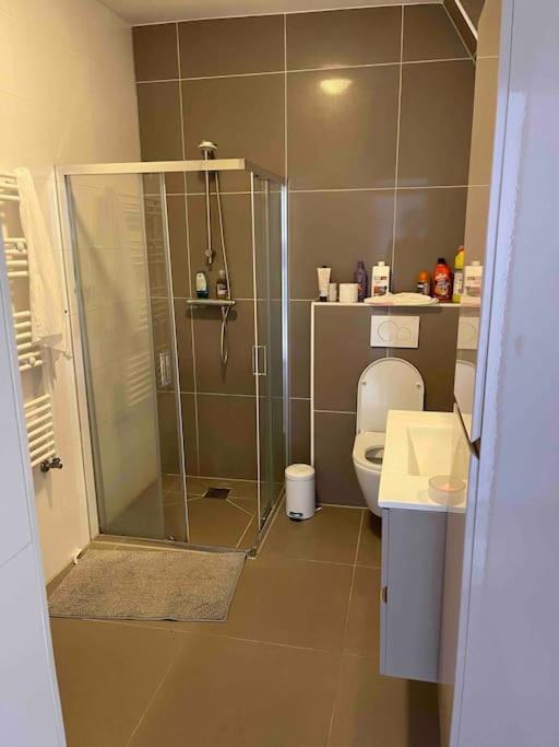 Private Double Bed Room Only With Balcony In Apartment Rotterdam Extérieur photo